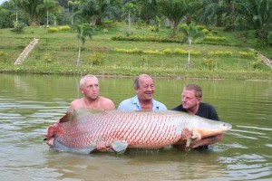 Library_Arapaima