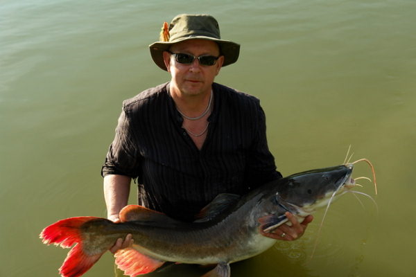  - april2010_0072_Asian_red_tail_catfish_Steve_Philips1