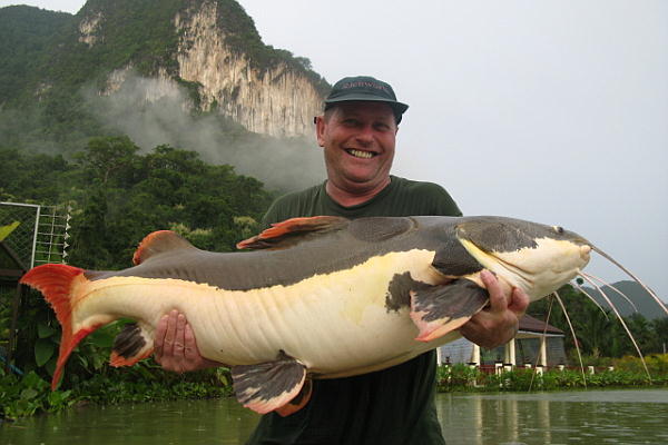 review2008_0030_red_tail_catfish_55lb_La