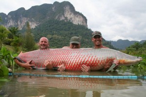 2012 Review Gillhams Fishing Resorts Krabi Thailand