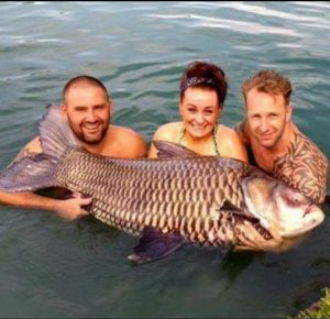 Fishing In Thailand Newsletter January 2017