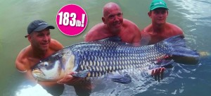 Fishing In Thailand Newsletter October 2015