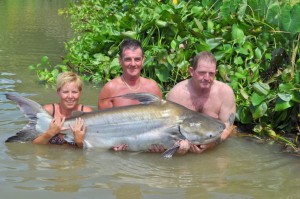 Library_Chao_Phraya_catfish