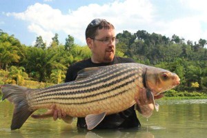 Library_Julians_golden_prize_carp_Squeacky