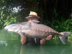 Ripsaw Catfish