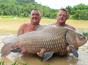 Library_Siamese_Carp