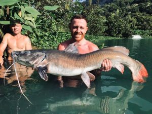 Asian Red Tailed Catfish