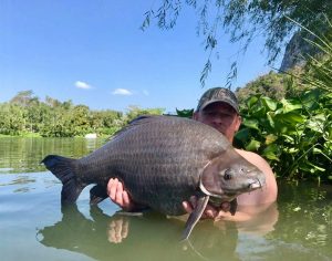 Black Shark Carp