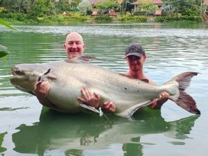 Chao Phraya Catfish