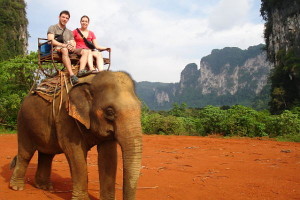 Elephant Trekking