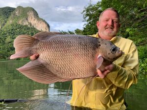 Giant Gourami