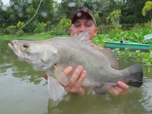 record nile perch