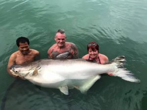 Mekong Catfish