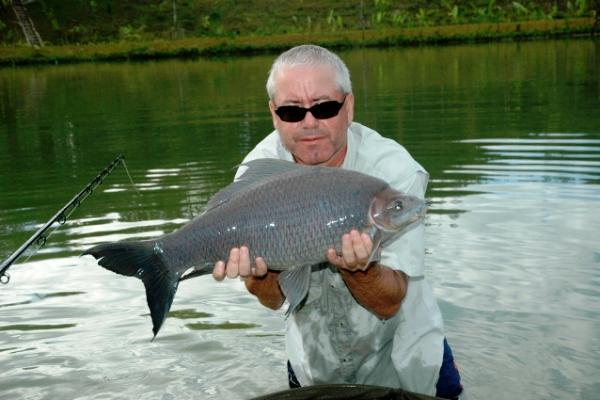 Black Shark Carp  Gillhams Fishing Resorts