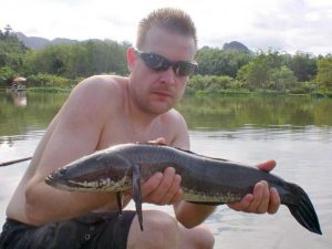 Striped Snakehead