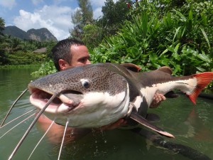 Fishing In Thailand Newsletter July 2014