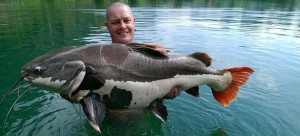 Red Tail Catfish  Gillhams Fishing Resorts