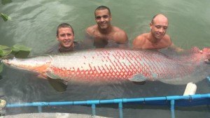 Fishing In Thailand Newsletter July 2015