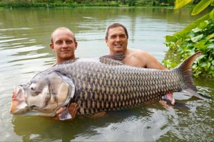 Fishing In Thailand Newsletter November 2015