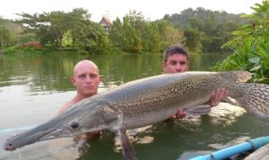 Fishing In Thailand Newsletter November 2016