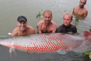 Black Shark Carp  Gillhams Fishing Resorts