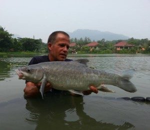 Thai Mahseer