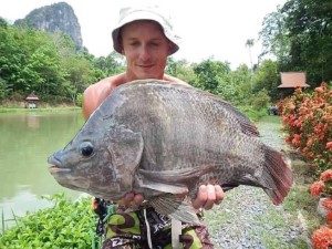 Tilapia