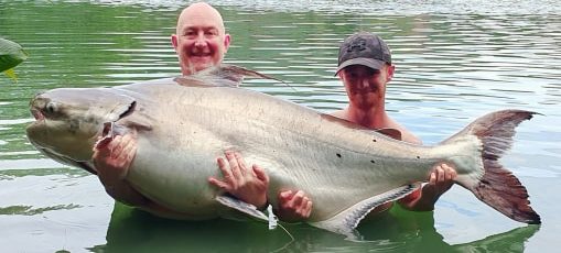 Giant Snakehead fishing in Thailand - Bushguide 101