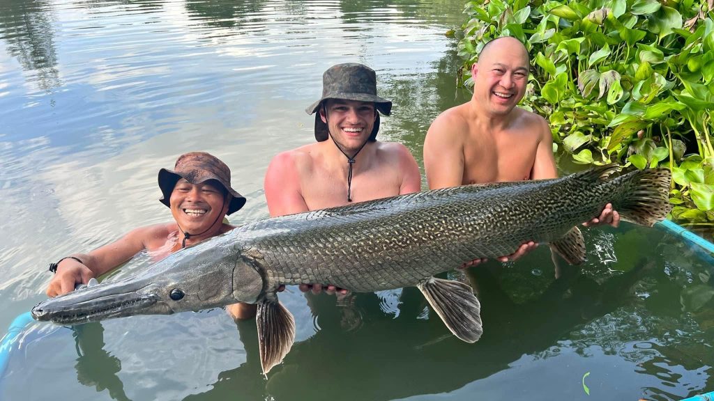 Alligator Gar Photos  Gillhams Fishing Resorts